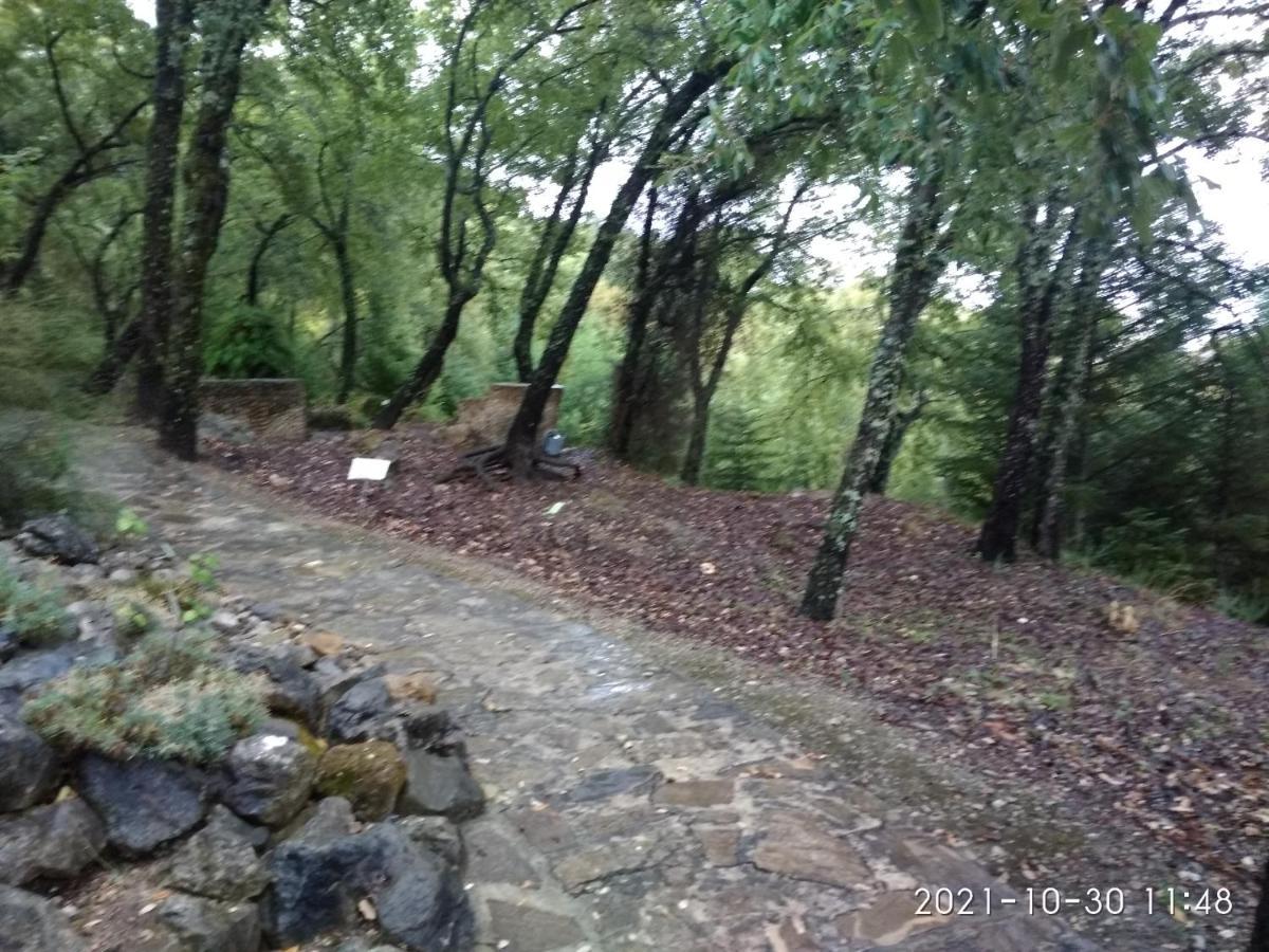 Apartamento Casa Romero El Bosque Exteriér fotografie