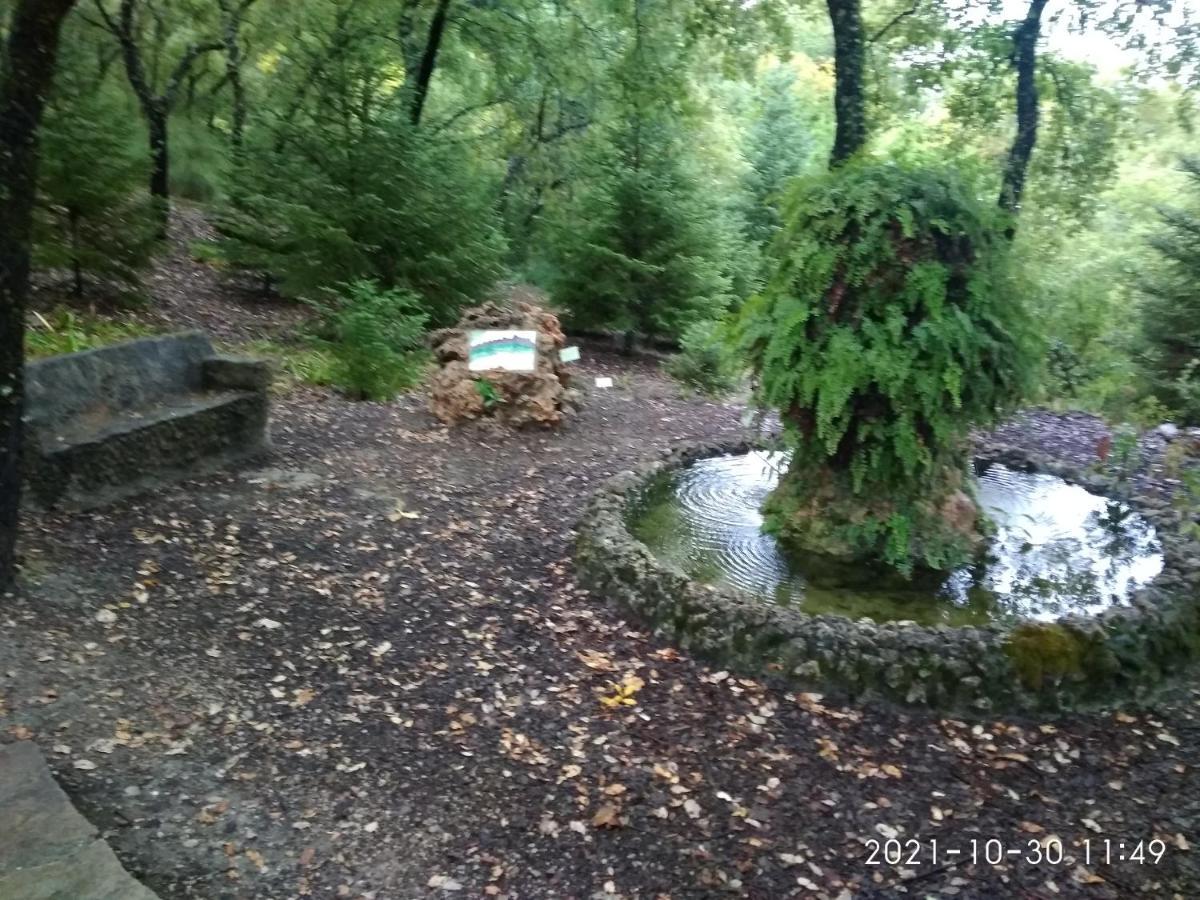 Apartamento Casa Romero El Bosque Exteriér fotografie